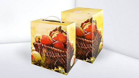 Karton 5L mit Apfelkorb-Druck und Aufschrift