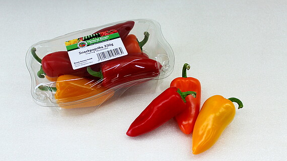 Kleine Paprika in einer Plastikbox