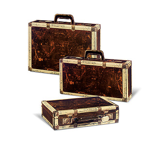 Tragepräsentkarton Koffer mit Griff